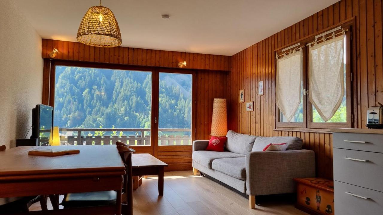 Appartement L'Erable 大博尔南 外观 照片